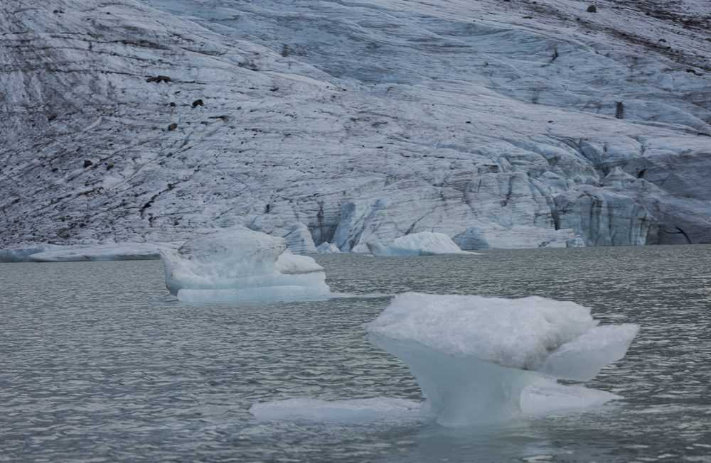 The crevassed front of a glacier arm meeting its meltwater lake, with pale blue icebergs drifting in the foreground