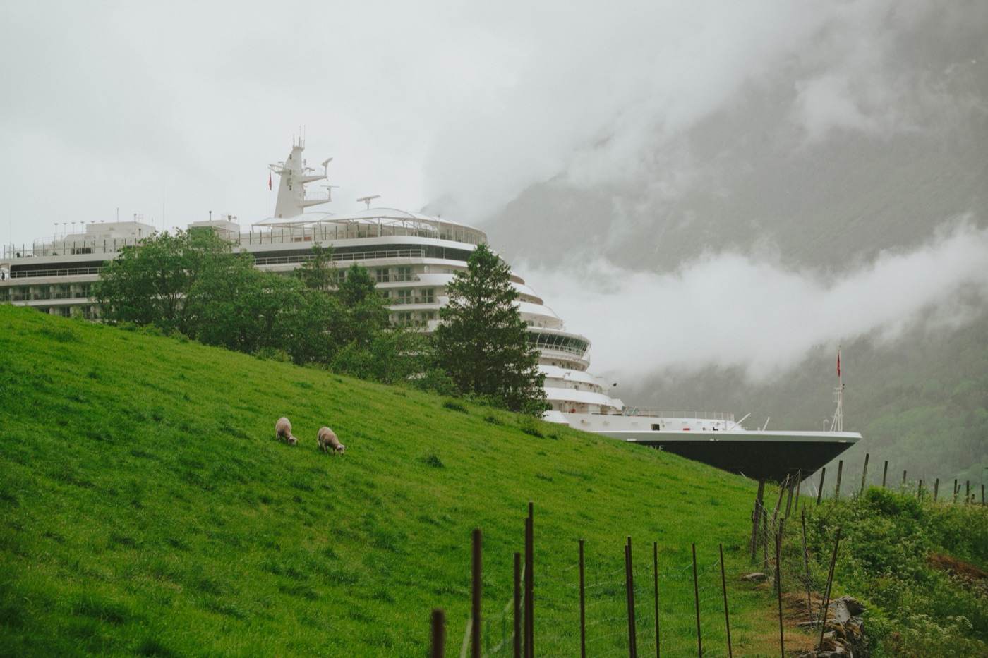 Two sheep grazing on a steep green pasture behind a post fence, with the white superstructure and bow of a cruise ship rising over the crest of the hill and cloud lying across the mountainside behind her