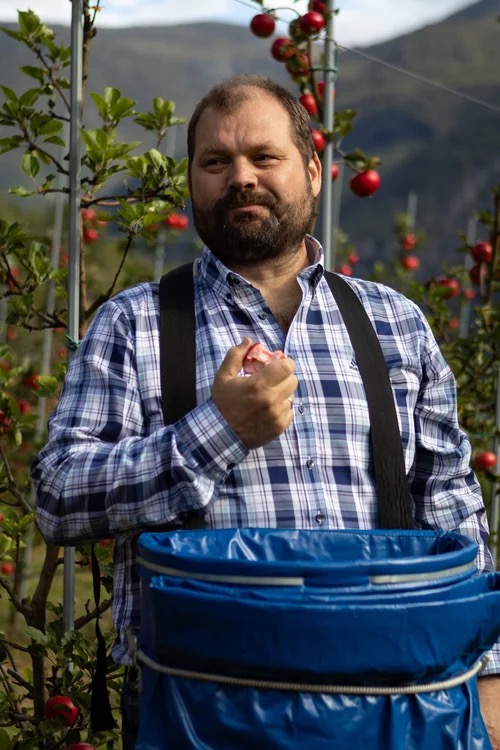 Erik Bolstad of the cidery in his orchard among apple trees heavy with red apples, holding an apple over a picking bag