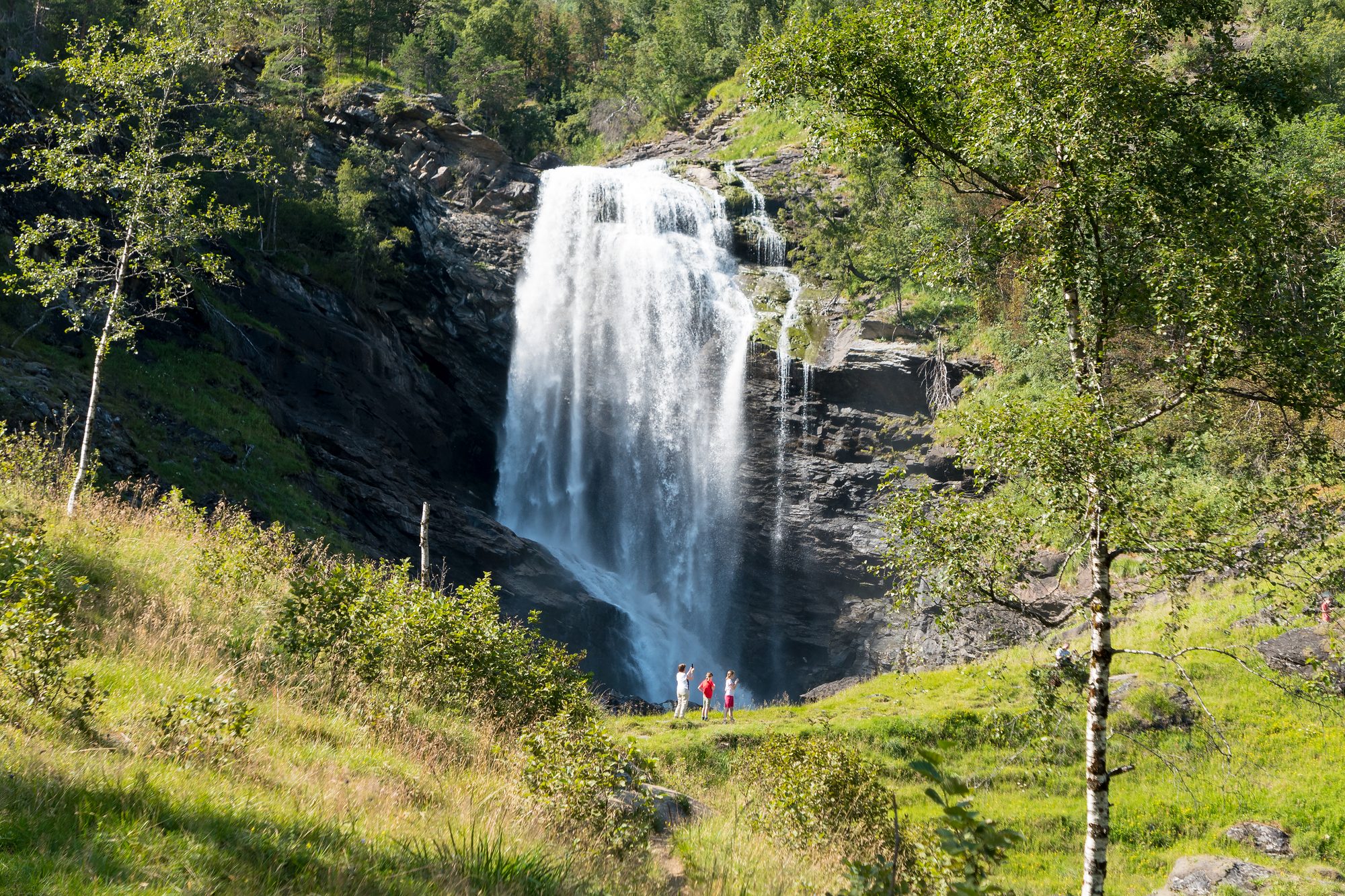 Drivandefossen falling in a white column into a green hollow, birches in the foreground and two walkers small at its foot