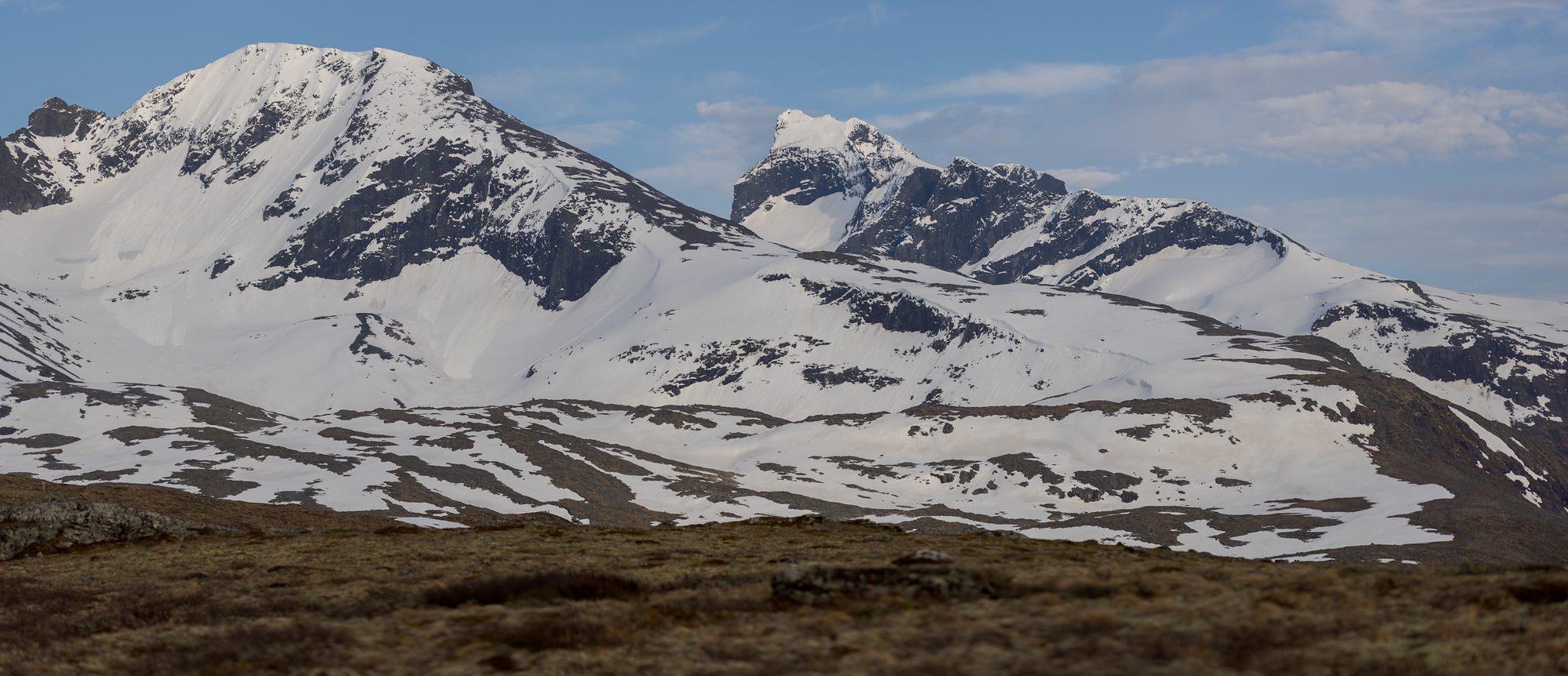Snow-covered peaks and a jagged ridge in Jotunheimen above bare early-summer ground