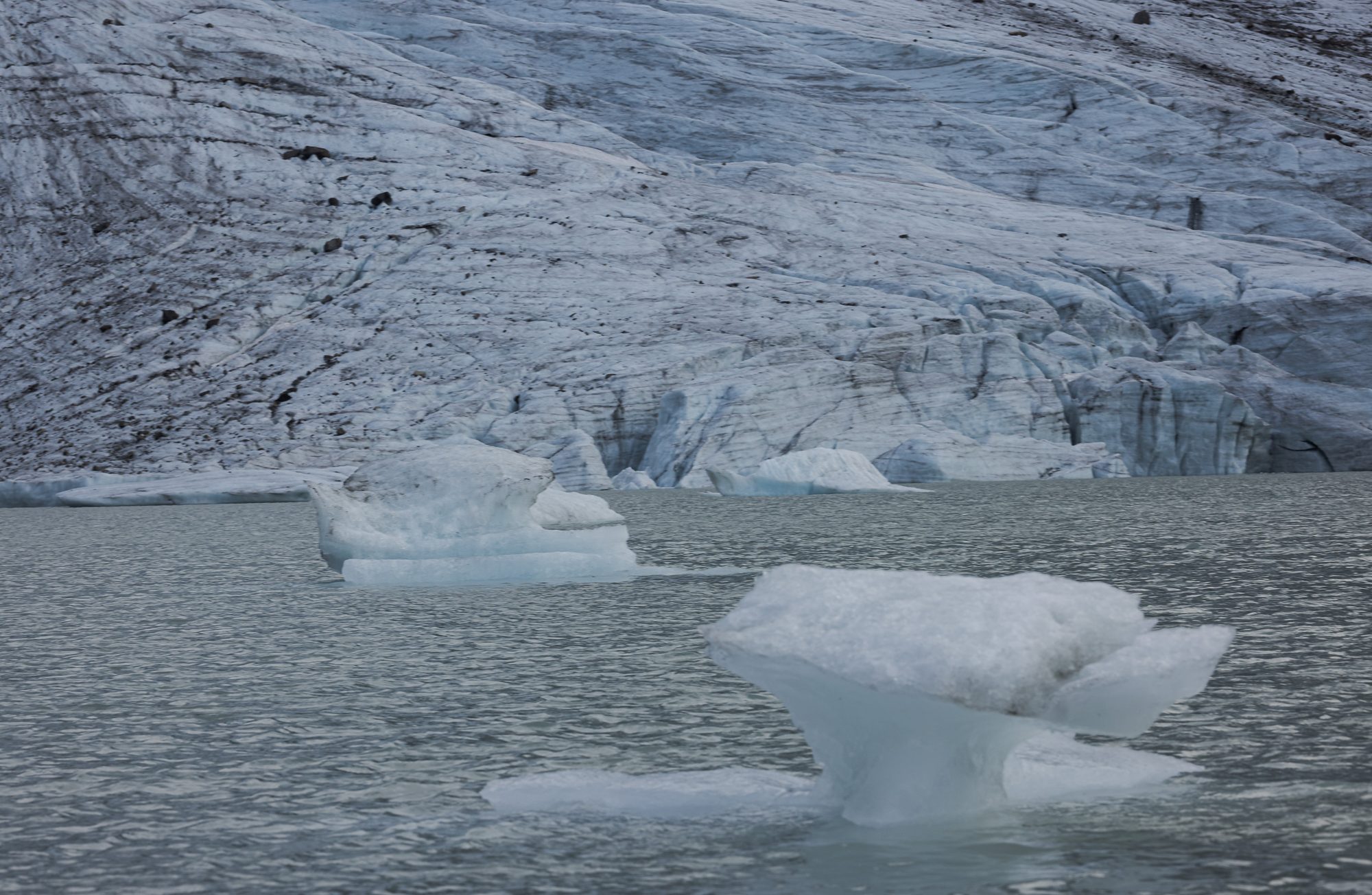 Blocks of blue-white ice floating in the lake at the foot of the glacier front at Styggedalsbreen